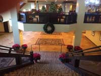 Colorado Native Christmas Trees