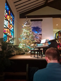 Colorado Native Christmas Trees